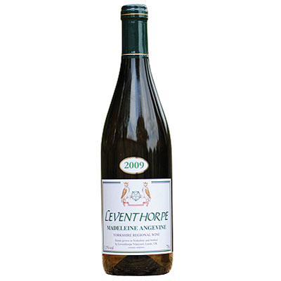 english wine, expert's choice,