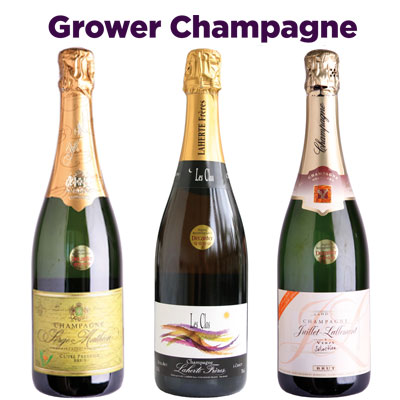 champagne, panel tasting
