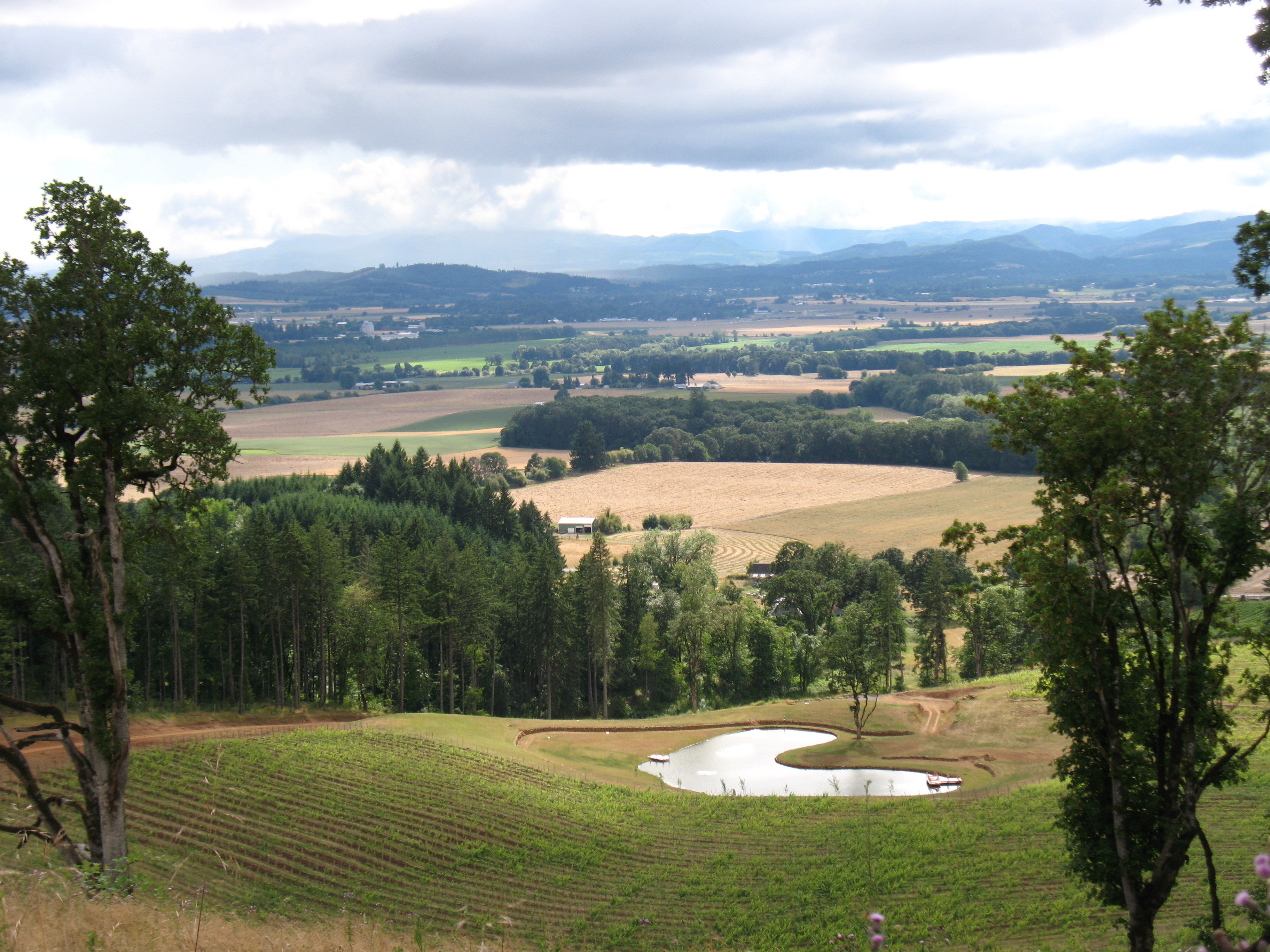 Willamette Valley Oregon