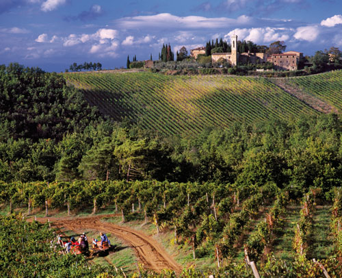 joy of terroir, terroir, 