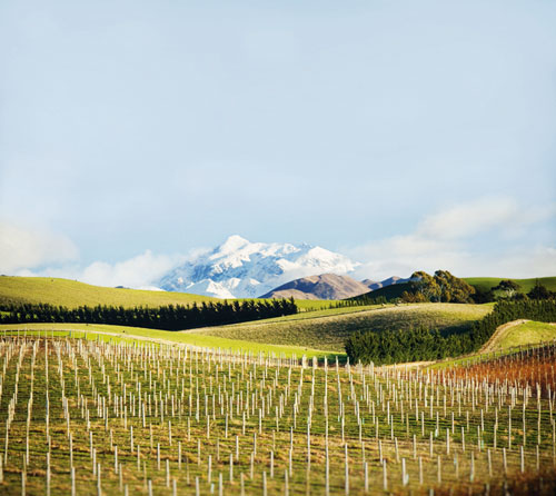 joy of terroir, terroir, 