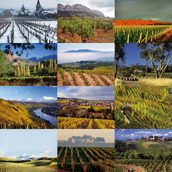 joy of terroir, terroir, 