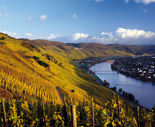joy of terroir, terroir, 