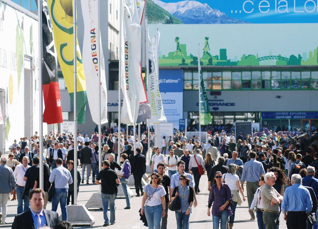 vinitaly exhibition