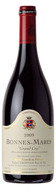 burgundy, stephen brook,