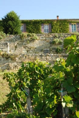 quintus