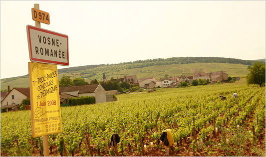 vosne romanee, 