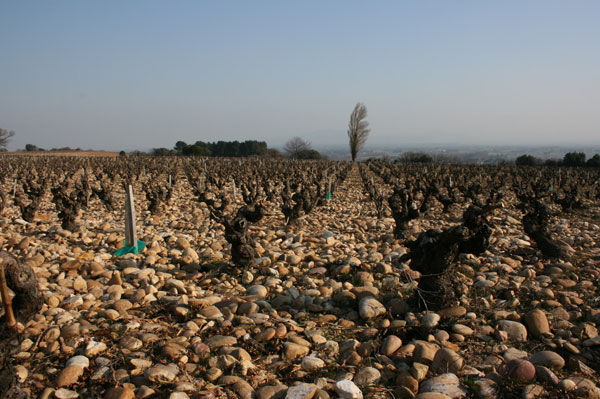 la crau