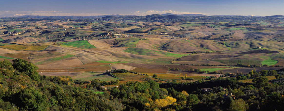 brunello