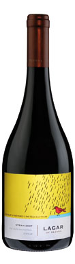 Chilean Syrah, Chilean wine, best Chilean wine