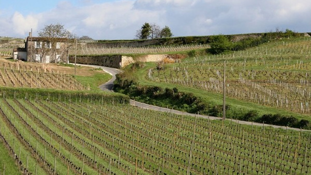 Bordeaux 2011