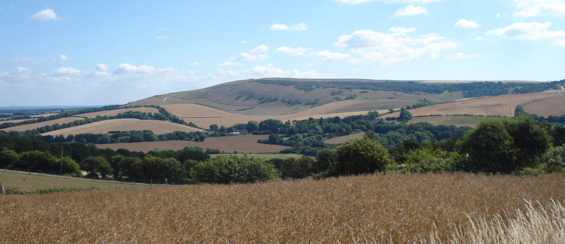 Rathfinny