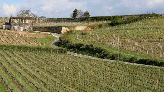 St Emilion