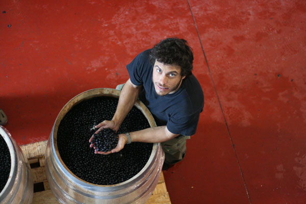 Sebastian Zuccardi