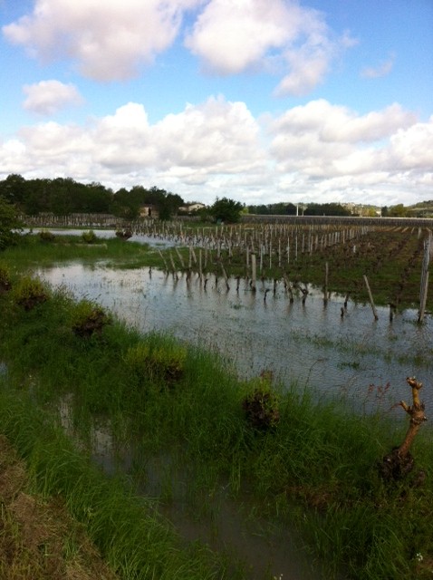 rain in st emilion
