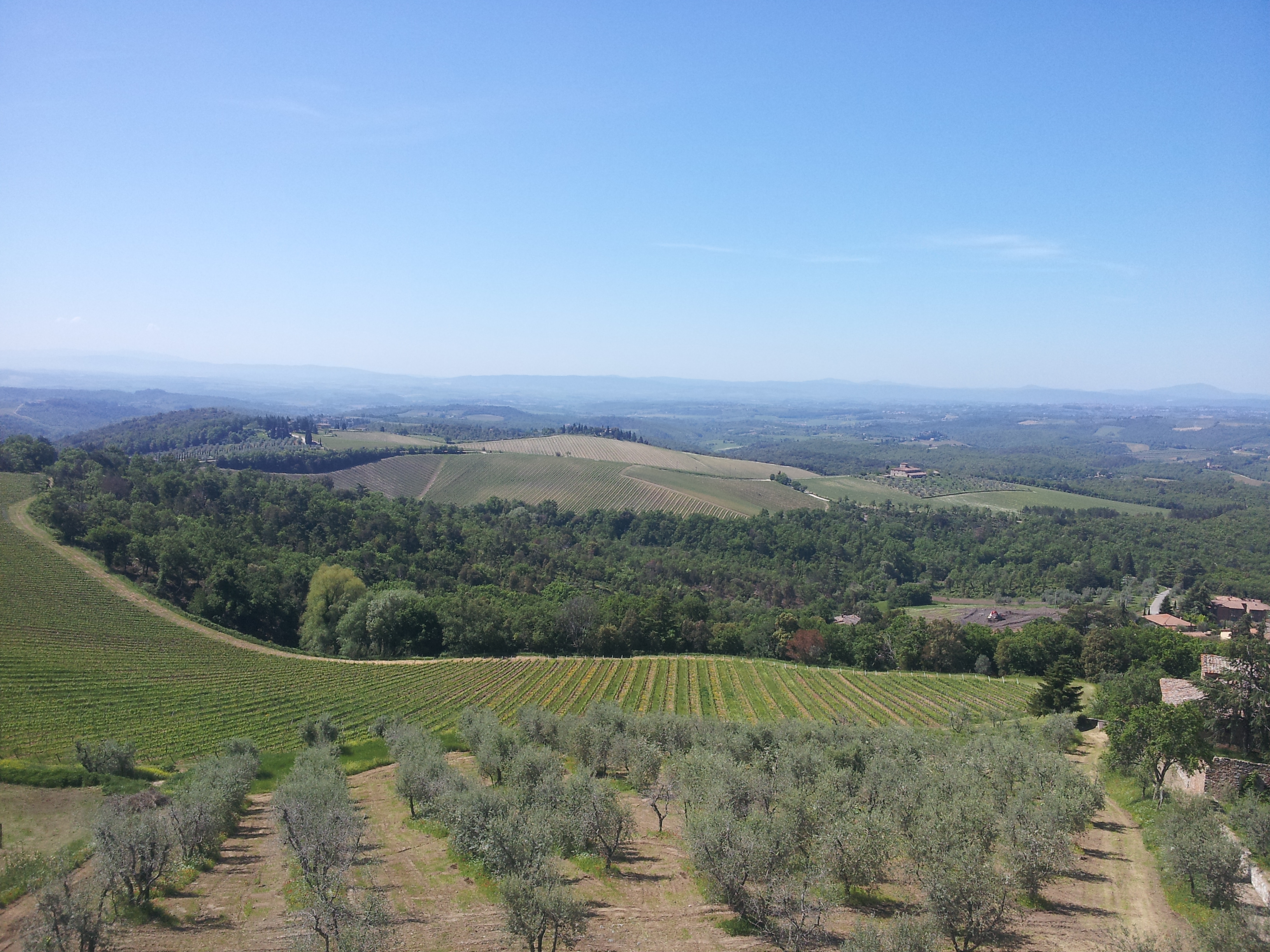 Ricasoli Brolio