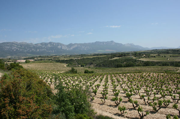Rioja