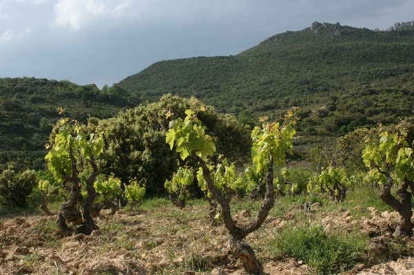 South Africa