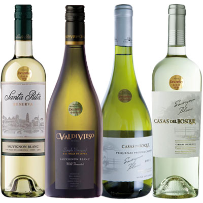 Chilean Sauvignon Blanc