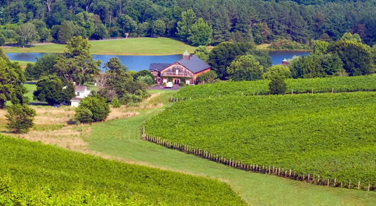 Trump winery