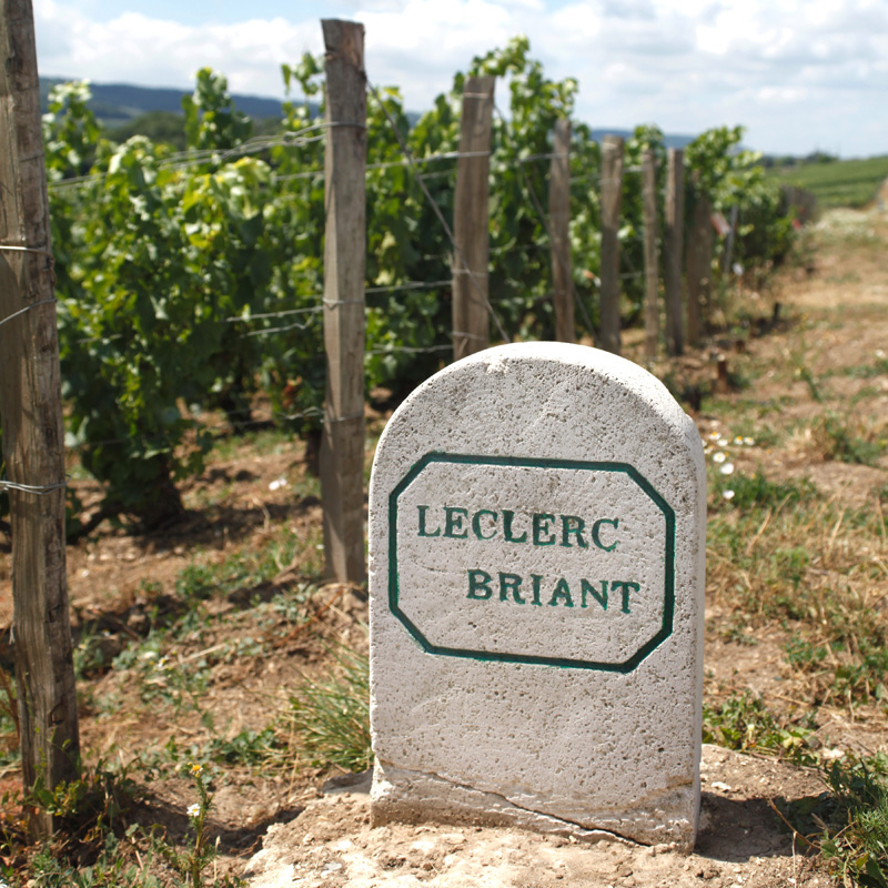 Lerclerc Briant Lerclerc Briant