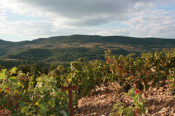 Terrasses du Larzac 