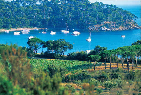 Provence