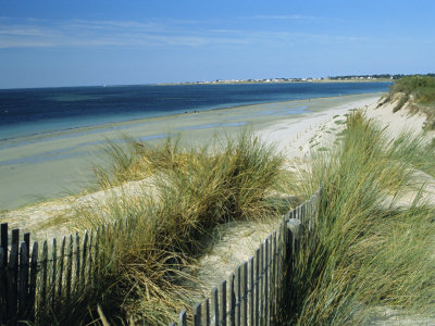 Atlantic coast