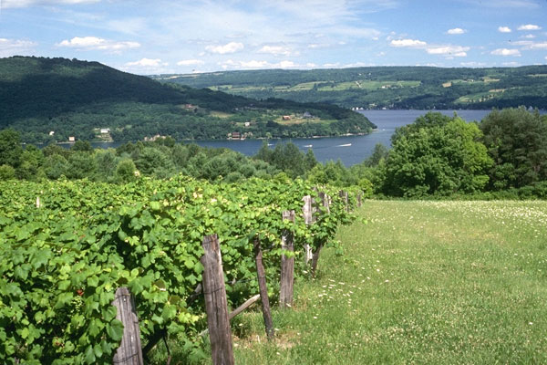 Finger Lakes
