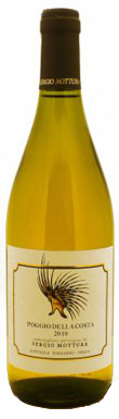 italian grapes, italy, italian wine, italy guide,
