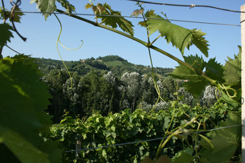 Santo Stefano Belbo