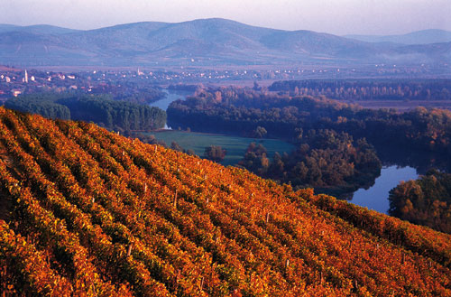 travel, Tokaj