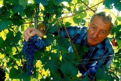angelo rocca