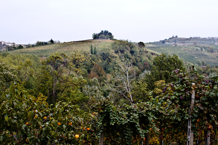 Decanter Reader Weekend Piedmont Trip