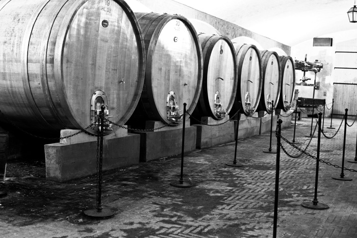 Decanter Reader Weekend Piedmont Trip