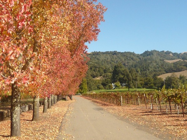 Alexander Valley Alexander Valley