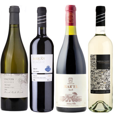 israel, Israel wines