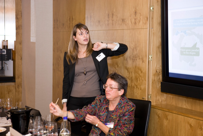 Languedoc discovery theatre DFWE 2012