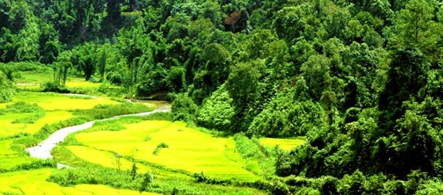 Pu'er Pu'er