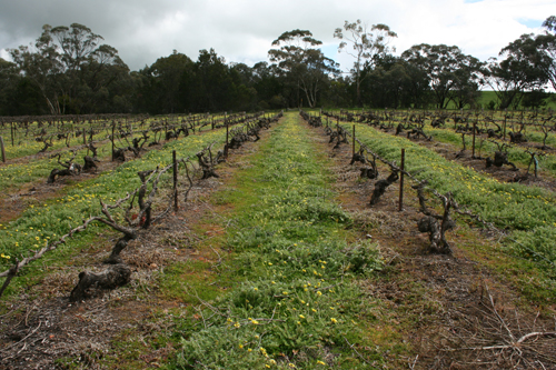 Block 42 - Jefford