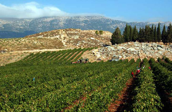 lebanon