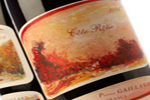 2009 Pierre Gaillard, Syrah