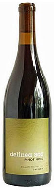 Sokoi Blosser Delinea 300 2009