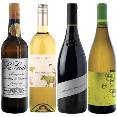 weekday wines, 