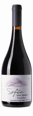 Chilean wines, Baravado Sofia Garcia Schwaderer