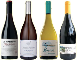 Chilean wines, 