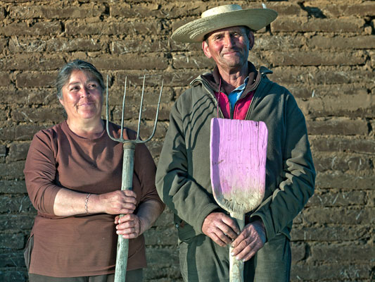 Grower Champange couple, Maule Carignan, 
