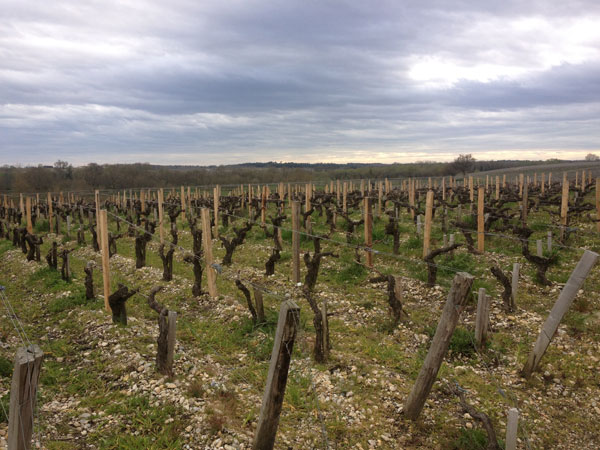 Bordeaux 2012 en primeur,