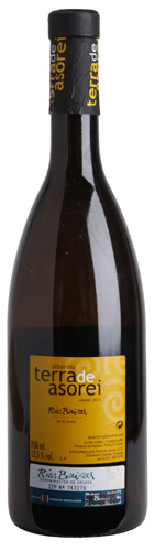 2010 Albariño Terra de Asorei, Rias Baixas, Galicia, Spain