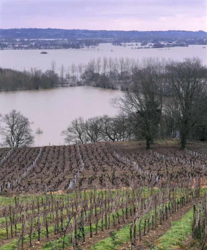 Loire floods